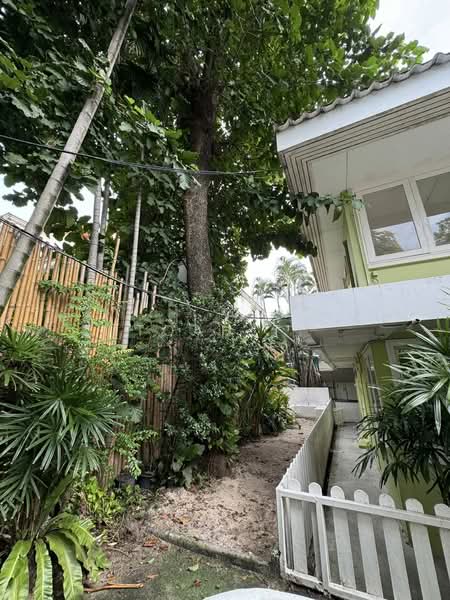 อาคารให้เช่า อินทามระ สุทธิสาร สะพานควาย : Buildings for rent in Sutthisan, and Saphan Khwai, กรุงเทพ, สามเสนใน, พญาไท, กรุงเทพ, 500 ตร.ม., ตึกแถว-อาคารพาณิชย์ ให้เช่า, โดย TOAH T., 500166542 - DDproperty.com