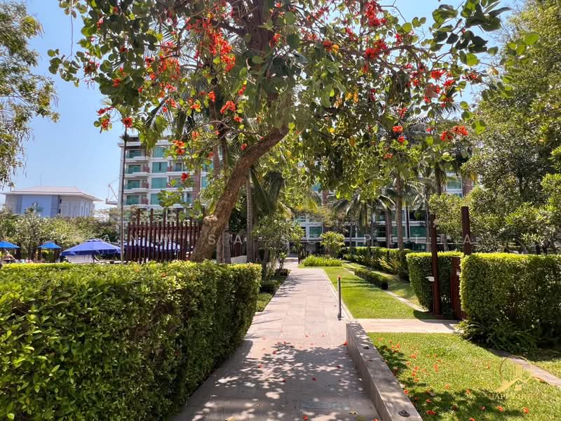 Amari Residences Hua Hin, Prachuap Khiri Khan, Soi Hua Hin 87, Nong Kae, Hua Hin, Prachuap Khiri Khan, 1 Bedroom, 41 sqm, Condo For Rent, by Wanwisa Scopetta, 500166610 - DDproperty.com