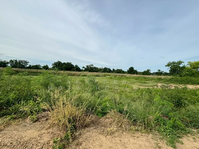 ✨ ขายที่ดินว่างเปล่า 5 ไร่ 🔥 โอกาสทอง! ที่ดินแปลงใหญ่ ใกล้มหาวิทยาลัยเกษตรศาสตร์ ✨, Nakhon Pathom, Tarang Phikul, Kamphaeng Saen, Nakhon Pathom, , 9,200 sqm, Land For Sale, by Apaporn Muanthorani, 500166625 - DDproperty.com