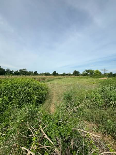 ✨ ขายที่ดินว่างเปล่า 5 ไร่ 🔥 โอกาสทอง! ที่ดินแปลงใหญ่ ใกล้มหาวิทยาลัยเกษตรศาสตร์ ✨, Nakhon Pathom, Tarang Phikul, Kamphaeng Saen, Nakhon Pathom, , 9,200 sqm, Land For Sale, by Apaporn Muanthorani, 500166625 - DDproperty.com