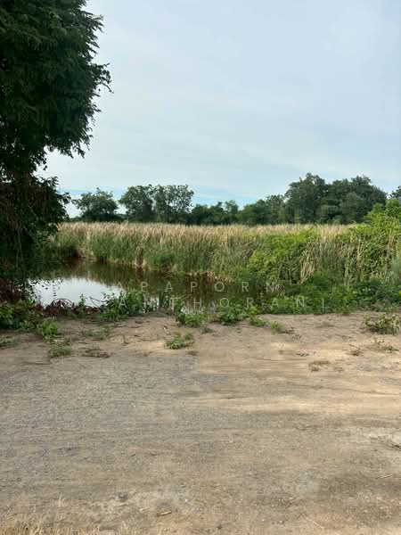 ขาย - ✨ ขายที่ดินว่างเปล่า 5 ไร่ 🔥 โอกาสทอง! ที่ดินแปลงใหญ่ ใกล้มหาวิทยาลัยเกษตรศาสตร์ ✨, นครปฐม