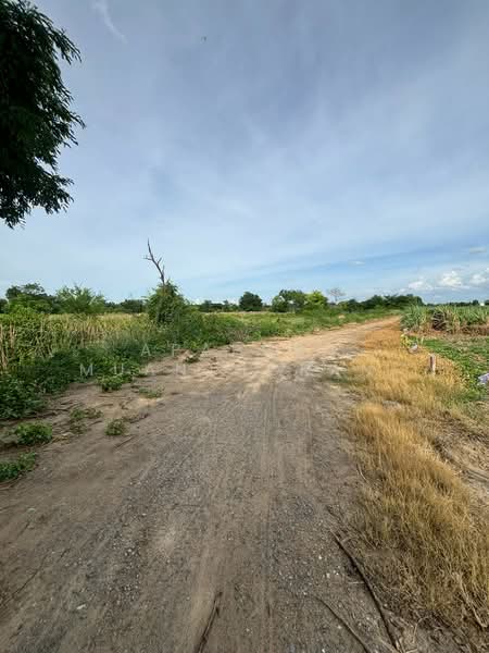 ขาย - ขายที่ดิน 5 ไร่เศษ ทำเลดี รางพิกุล กำแพงแสน ใกล้ม.เกษตร, นครปฐม