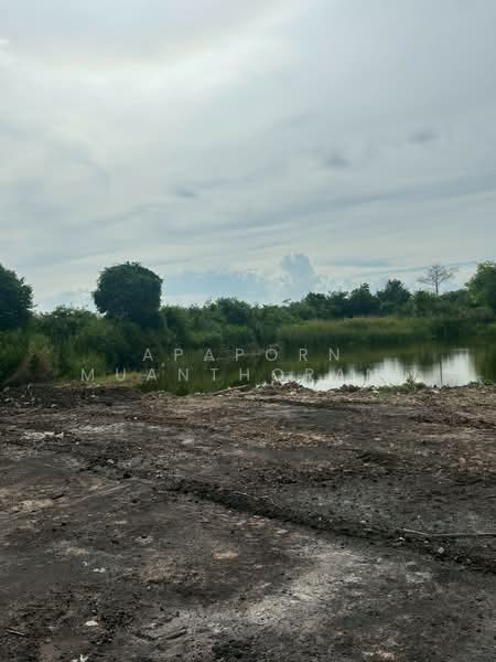 ขาย - ✨ ขายที่ดินว่างเปล่า 5 ไร่ 🔥 โอกาสทอง! ที่ดินแปลงใหญ่ ใกล้มหาวิทยาลัยเกษตรศาสตร์ ✨, นครปฐม