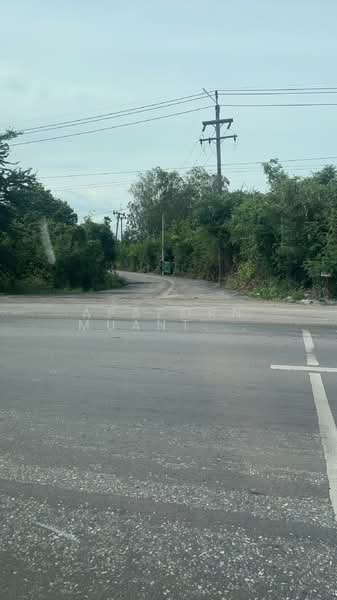 ขาย - ✨ ขายที่ดินว่างเปล่า 5 ไร่ 🔥 โอกาสทอง! ที่ดินแปลงใหญ่ ใกล้มหาวิทยาลัยเกษตรศาสตร์ ✨, นครปฐม