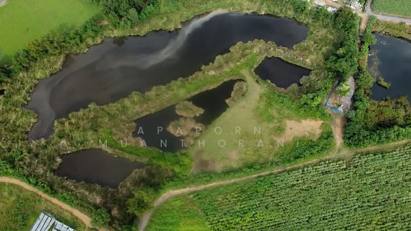 ขาย - ✨ ขายที่ดินว่างเปล่า 5 ไร่ 🔥 โอกาสทอง! ที่ดินแปลงใหญ่ ใกล้มหาวิทยาลัยเกษตรศาสตร์ ✨, นครปฐม