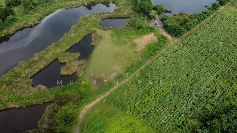 ขาย - ขายที่ดิน 5 ไร่เศษ ทำเลดี รางพิกุล กำแพงแสน ใกล้ม.เกษตร, นครปฐม