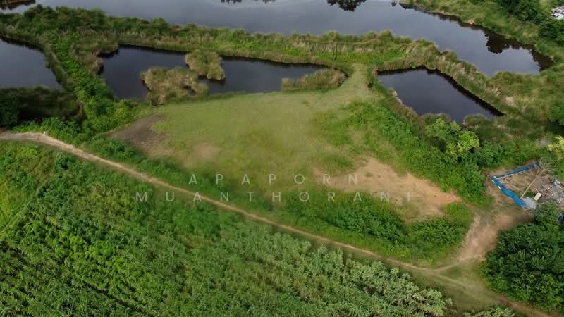 ขาย - ✨ ขายที่ดินว่างเปล่า 5 ไร่ 🔥 โอกาสทอง! ที่ดินแปลงใหญ่ ใกล้มหาวิทยาลัยเกษตรศาสตร์ ✨, นครปฐม