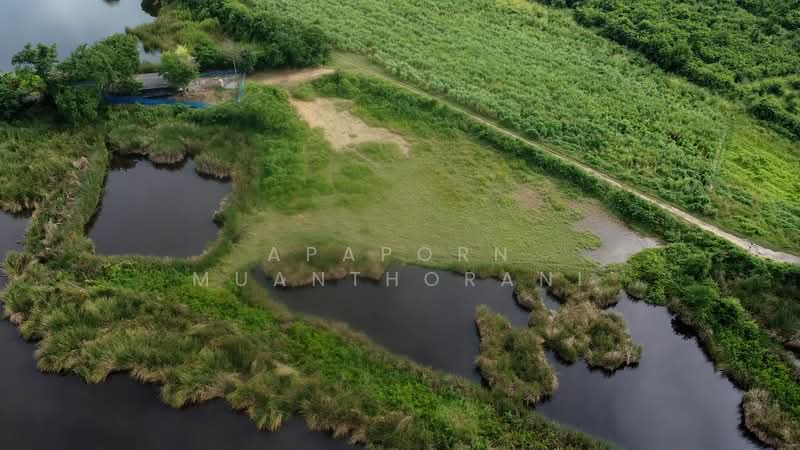 ขาย - ✨ ขายที่ดินว่างเปล่า 5 ไร่ 🔥 โอกาสทอง! ที่ดินแปลงใหญ่ ใกล้มหาวิทยาลัยเกษตรศาสตร์ ✨, นครปฐม