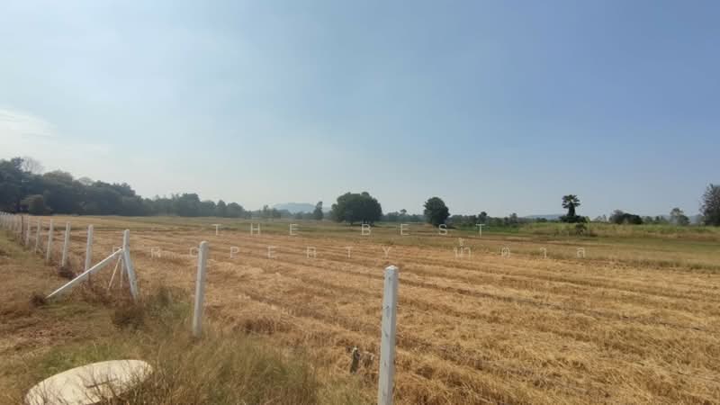 ที่ดินจอมบึง ราชบุรี, Ratchaburi, Rang Bua, Chom Bung, Ratchaburi, , 800 sqm, Land For Sale, by The Best Property น้ำตาล, 500166671 - DDproperty.com