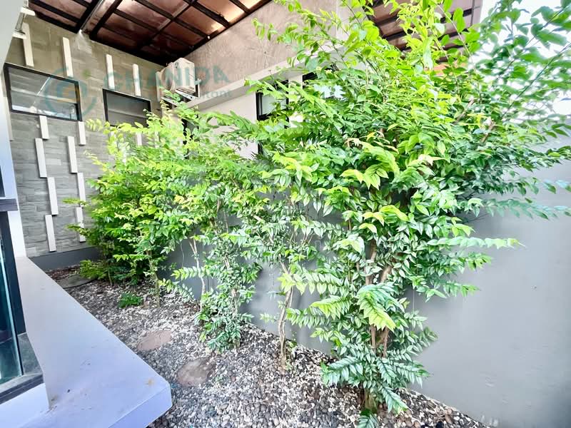 บ้านสวนวังนนท์, Songkhla, พรุธานี, Ban Phru, Hat Yai, Songkhla, 3 Bedrooms, 150 sqm, Single Detached House For Rent, by ชนิดาภา กัณสุทธิ์, 500166813 - DDproperty.com