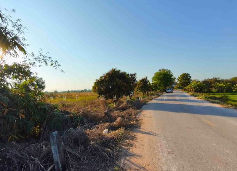 ที่ดิน 13 ไร่ 19.3 ตรว. ต.ป่าสัก อ.เมือง จ.ลำพูน, ใกล้ ซีพีแรม, นิคมฯสหพัฒน์ ลำพูน, ลำพูน, ทล.116, ป่าสัก, เมืองลำพูน, ลำพูน, 21,276 ตร.ม., ที่ดิน ขาย, โดย ฌัชษชี ฌัชปภาส์มณ, 500166835 - DDproperty.com