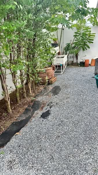 Prueklada Ratchaphruek 345, Nonthaburi, Nonthaburi Bridge Bang Bua Thong, Lahan, Bang Bua Thong, Nonthaburi, 3 Bedrooms, 170 sqm, Single Detached House For Sale, by Chekchanok Chuaynual, 500166880 - DDproperty.com