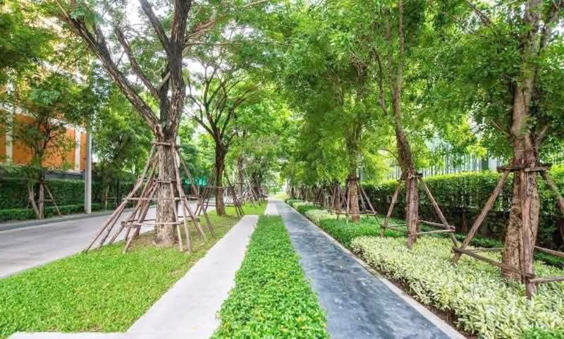 Aspire Rattanathibet 2, Nonthaburi, 185 Rattanathibet Road, Bang Kra So, Muang Nonthaburi, Nonthaburi, 1 Bedroom, 25 sqm, Condo For Rent, by อรุณ อเนกคุณะ, 500166898 - DDproperty.com