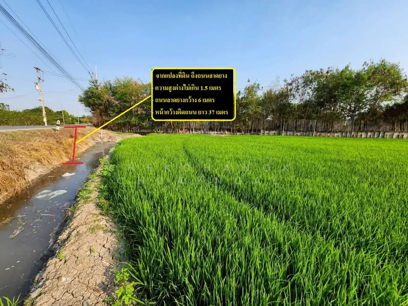 ที่ดิน ปทุมธานี ลาดหลุมแก้ว, Pathum Thani, เทศบาล 5, Ra Haeng, Lat Lum Kaeo, Pathum Thani, , 26,736 sqm, Land For Sale, by Chekchanok Chuaynual, 500166959 - DDproperty.com