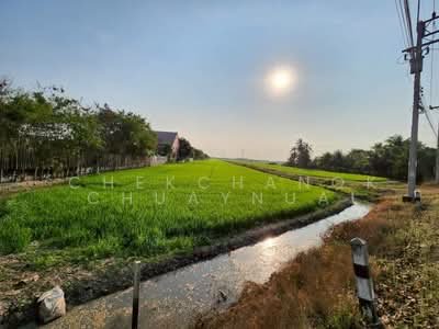 ขาย - ที่ดิน ปทุมธานี ลาดหลุมแก้ว, ปทุมธานี