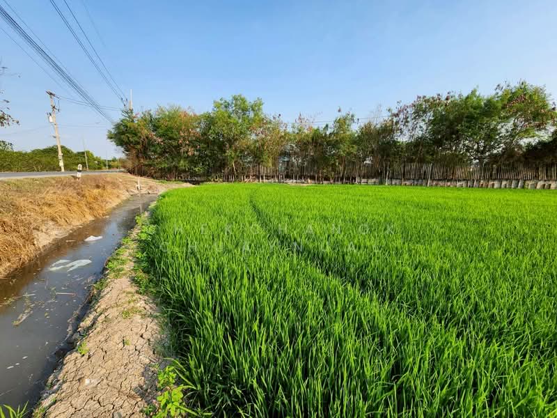 ที่ดิน ปทุมธานี ลาดหลุมแก้ว, ปทุมธานี, เทศบาล 5, ระแหง, ลาดหลุมแก้ว, ปทุมธานี, 26,736 ตร.ม., ที่ดิน ขาย, โดย Chekchanok Chuaynual, 500166959 - DDproperty.com