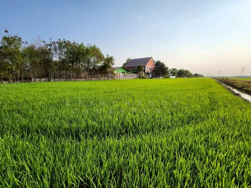 ที่ดิน ปทุมธานี ลาดหลุมแก้ว, ปทุมธานี, เทศบาล 5, ระแหง, ลาดหลุมแก้ว, ปทุมธานี, 26,736 ตร.ม., ที่ดิน ขาย, โดย Chekchanok Chuaynual, 500166959 - DDproperty.com