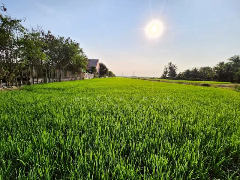 ที่ดิน ปทุมธานี ลาดหลุมแก้ว, Pathum Thani, เทศบาล 5, Ra Haeng, Lat Lum Kaeo, Pathum Thani, , 26,736 sqm, Land For Sale, by Chekchanok Chuaynual, 500166959 - DDproperty.com