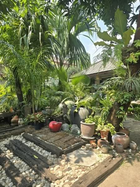 ไม่พบโครงการ, กรุงเทพ, สุขุมวิท42, พระโขนง, คลองเตย, กรุงเทพ, 220 ตร.ม., บ้านเดี่ยว ให้เช่า, โดย กุลจิรา อภัยโส, 500166981 - DDproperty.com