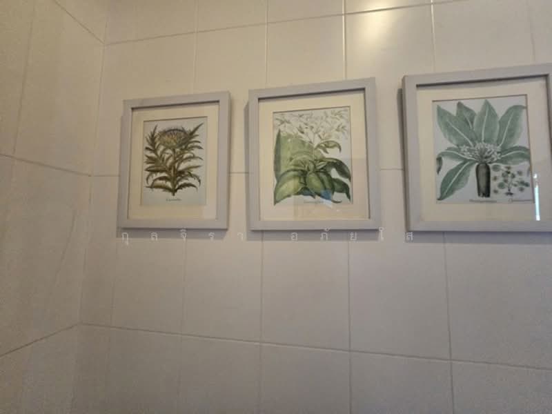 ไม่พบโครงการ, Bangkok, สุขุมวิท42, Phra Kanong, Khlong Toei, Bangkok, 3 Bedrooms, 220 sqm, Single Detached House For Rent, by กุลจิรา อภัยโส, 500166981 - DDproperty.com