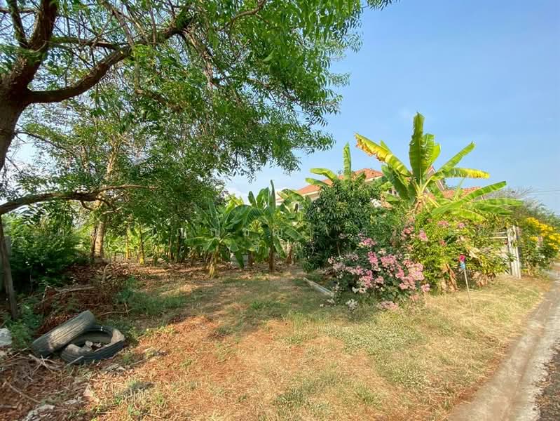 บ้าน + ที่ดิน 2 ชั้น 250 ตร.ว. ใกล้โลตัสลำลูกกา คลอง6 ถนนลำลูกกา, Pathum Thani, Bung Thong Lang, Lam Luk Ka, Pathum Thani, 5 Bedrooms, 400 sqm, Single Detached House For Sale, by คุณ กัญญ์ชญา คารมดี (จิ๋ว), 500167036 - DDproperty.com