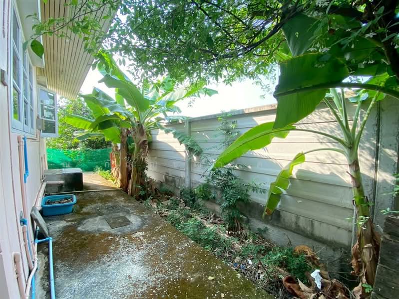 บ้าน + ที่ดิน 2 ชั้น 250 ตร.ว. ใกล้โลตัสลำลูกกา คลอง6 ถนนลำลูกกา, ปทุมธานี, บึงทองหลาง, ลำลูกกา, ปทุมธานี, 400 ตร.ม., บ้านเดี่ยว ขาย, โดย คุณ กัญญ์ชญา คารมดี (จิ๋ว), 500167036 - DDproperty.com