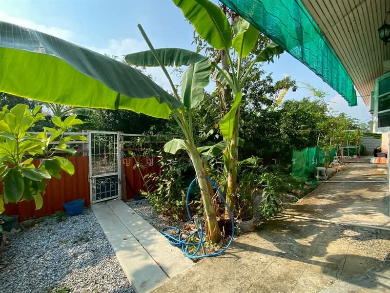 บ้าน + ที่ดิน 2 ชั้น 250 ตร.ว. ใกล้โลตัสลำลูกกา คลอง6 ถนนลำลูกกา, ปทุมธานี, บึงทองหลาง, ลำลูกกา, ปทุมธานี, 400 ตร.ม., บ้านเดี่ยว ขาย, โดย คุณ กัญญ์ชญา คารมดี (จิ๋ว), 500167036 - DDproperty.com