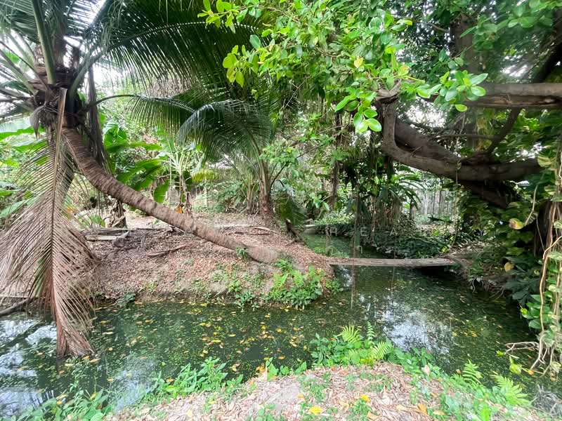 ตลิ่งชัน, Bangkok, Bang Ra Mat, Taling Chan, Bangkok, , 1,464 sqm, Land For Sale, by HOMEPLUS REALTY - คุณมิรา, 500167052 - DDproperty.com