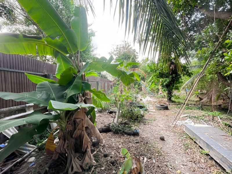 ตลิ่งชัน, Bangkok, Bang Ra Mat, Taling Chan, Bangkok, , 1,464 sqm, Land For Sale, by HOMEPLUS REALTY - คุณมิรา, 500167052 - DDproperty.com