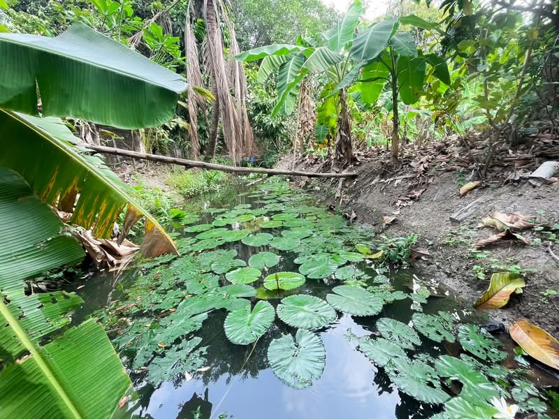 ตลิ่งชัน, กรุงเทพ, บางระมาด, ตลิ่งชัน, กรุงเทพ, 1,464 ตร.ม., ที่ดิน ขาย, โดย HOMEPLUS REALTY - คุณมิรา, 500167052 - DDproperty.com