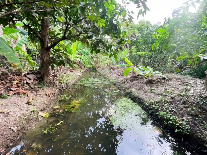 ตลิ่งชัน, กรุงเทพ, บางระมาด, ตลิ่งชัน, กรุงเทพ, 1,464 ตร.ม., ที่ดิน ขาย, โดย HOMEPLUS REALTY - คุณมิรา, 500167052 - DDproperty.com