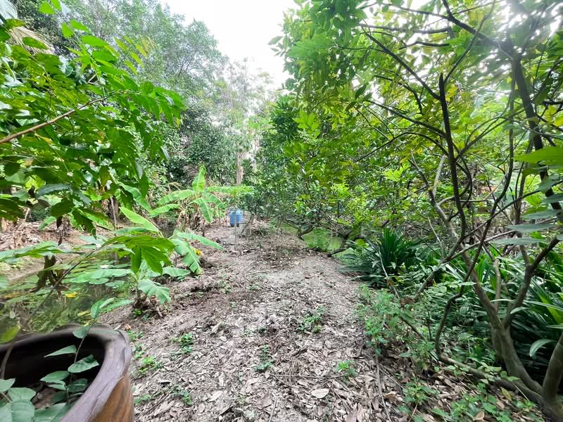 ตลิ่งชัน, Bangkok, Bang Ra Mat, Taling Chan, Bangkok, , 1,464 sqm, Land For Sale, by HOMEPLUS REALTY - คุณมิรา, 500167052 - DDproperty.com