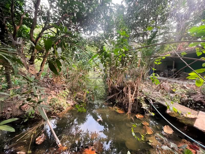 ตลิ่งชัน, Bangkok, Bang Ra Mat, Taling Chan, Bangkok, , 1,464 sqm, Land For Sale, by HOMEPLUS REALTY - คุณมิรา, 500167052 - DDproperty.com