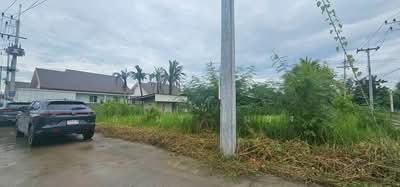 ขาย - ขาย ที่ดิน โซนหางดง, เชียงใหม่