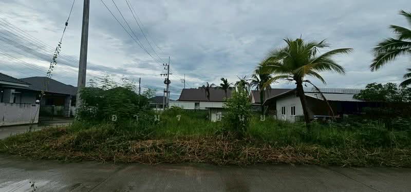 ขาย ที่ดิน โซนหางดง, Chiang Mai, San Phak Wan, Hang Dong, Chiang Mai, , 420 sqm, Land For Sale, by Armon Yuenyong, 500167055 - DDproperty.com