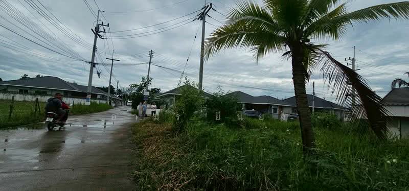 ขาย ที่ดิน โซนหางดง, Chiang Mai, San Phak Wan, Hang Dong, Chiang Mai, , 420 sqm, Land For Sale, by Armon Yuenyong, 500167055 - DDproperty.com