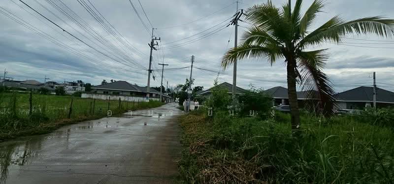 ขาย ที่ดิน โซนหางดง, Chiang Mai, San Phak Wan, Hang Dong, Chiang Mai, , 420 sqm, Land For Sale, by Armon Yuenyong, 500167055 - DDproperty.com