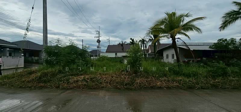 ขาย ที่ดิน โซนหางดง, Chiang Mai, San Phak Wan, Hang Dong, Chiang Mai, , 420 sqm, Land For Sale, by Armon Yuenyong, 500167055 - DDproperty.com