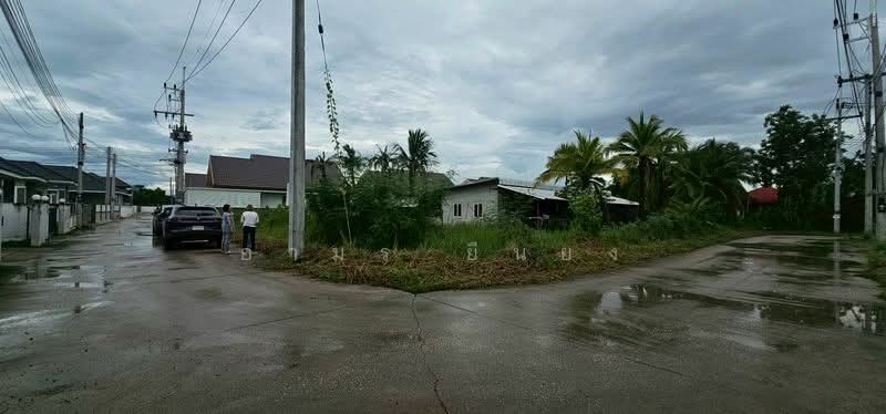 ขาย ที่ดิน โซนหางดง, Chiang Mai, San Phak Wan, Hang Dong, Chiang Mai, , 420 sqm, Land For Sale, by Armon Yuenyong, 500167055 - DDproperty.com