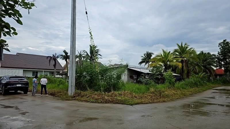 ขาย - ขาย ที่ดิน โซนหางดง, เชียงใหม่