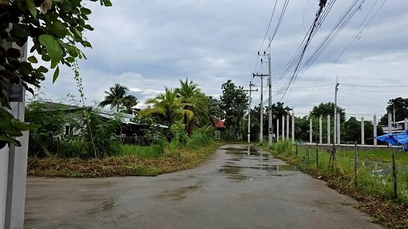 ขาย - ขาย ที่ดิน โซนหางดง, เชียงใหม่