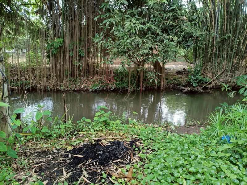 ขาย ที่ดิน โซนดอยหล่อ, เชียงใหม่, ดอยหล่อ, ดอยหล่อ, เชียงใหม่, 1,056 ตร.ม., ที่ดิน ขาย, โดย อามร ยืนยง, 500167066 - DDproperty.com