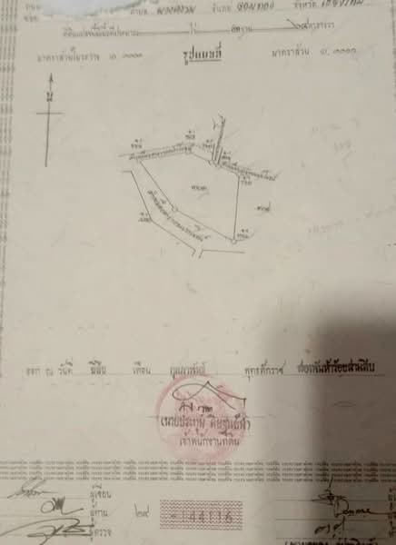 ขาย ที่ดิน โซนดอยหล่อ, Chiang Mai, Doi Lo, Doi Lo, Chiang Mai, , 1,056 sqm, Land For Sale, by Armon Yuenyong, 500167066 - DDproperty.com