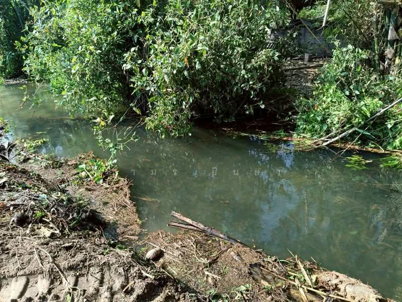 For Sale - ขาย ที่ดิน โซนดอยหล่อ, Chiang Mai