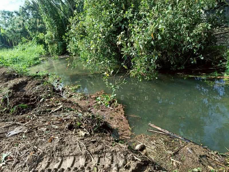 ขาย - ขาย ที่ดิน โซนดอยหล่อ, เชียงใหม่
