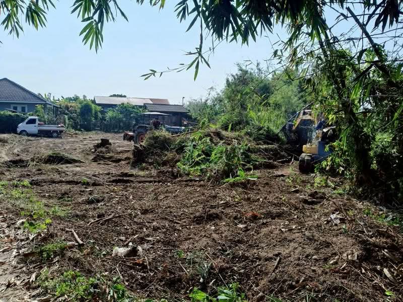 For Sale - ขาย ที่ดิน โซนดอยหล่อ, Chiang Mai