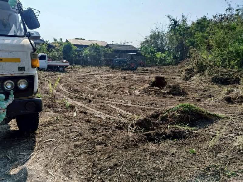 For Sale - ขาย ที่ดิน โซนดอยหล่อ, Chiang Mai