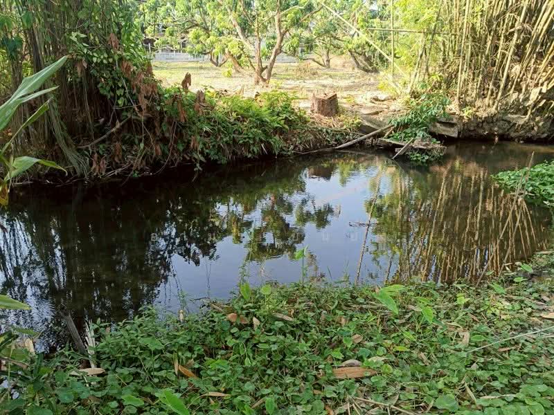 ขาย - ขาย ที่ดิน โซนดอยหล่อ, เชียงใหม่