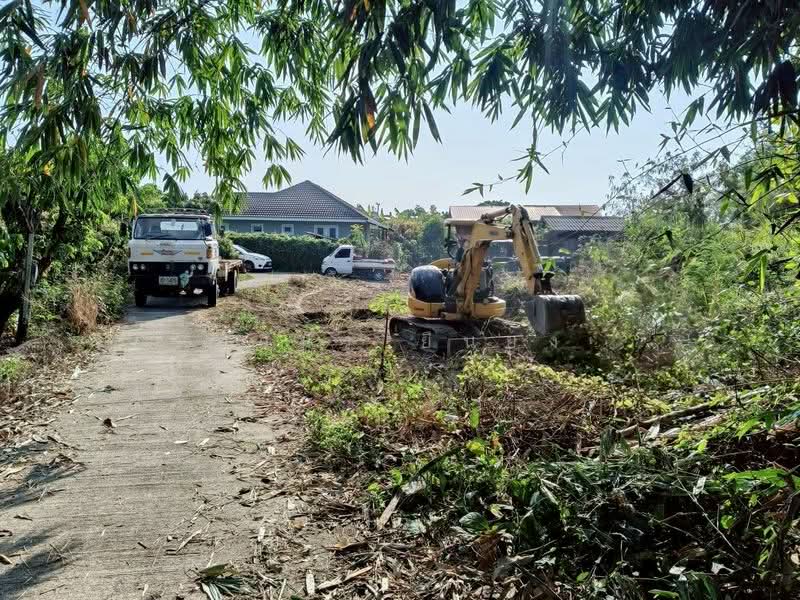 ขาย - ขาย ที่ดิน โซนดอยหล่อ, เชียงใหม่