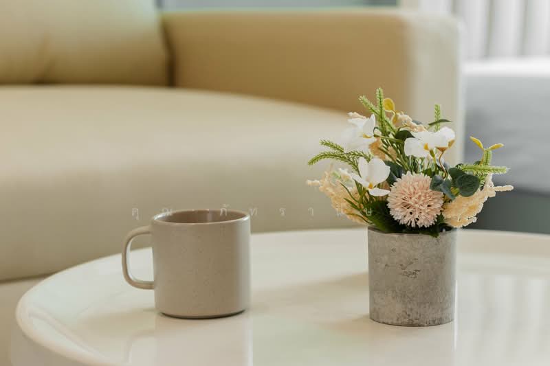 Regent Home Bangna : รีเจ้นท์ โฮม บางนา, กรุงเทพ, ถนน สรรพาวุธ, บางนาใต้, บางนา, กรุงเทพ, 28 ตร.ม., คอนโด ให้เช่า, โดย คุณ ภัทรานิษฐ์, 500167090 - DDproperty.com